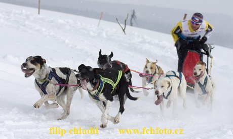 Tri studne zima 2009 - 0852.jpg